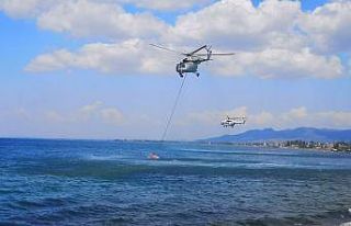 İzmir Dikili’de yangın