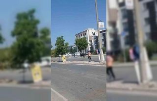 İzmir’de kurbanlık danalar kaçtı, sahipleri...