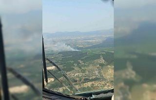İzmir’de orman yangını: 5 helikopter, 2 uçak...