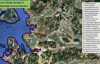 İzmir’de ormanlara giriş yasaklandı