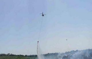 İzmir’deki orman yangını kontrol altında