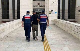 Jandarma devriyeleri suçlulara göz açtırmıyor