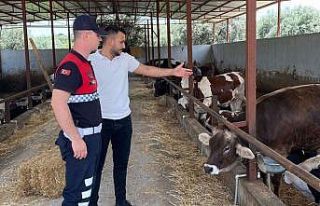 Jandarma ekipleri Kurban Bayramı öncesi uyardı