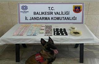Jandarma narkotik köpeği Çömlek’ten kaçamadılar