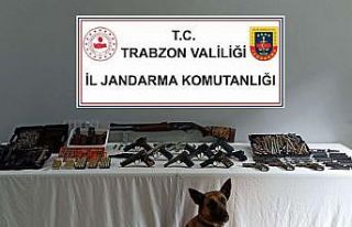 Jandarma timlerinden çifte operasyon