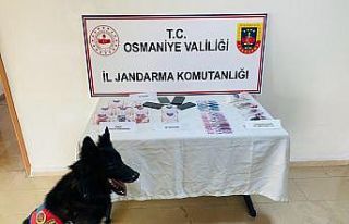 Jandarma uyuşturucu operasyonu;4 gözaltı