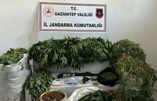 Jandarmadan dev uyuşturucu operasyonu: 23 bin 770...