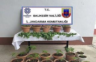 Jandarmadan Karesi’de uyuşturucu operasyonu