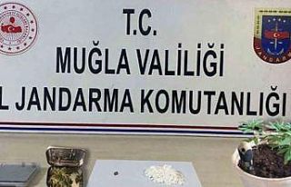 Jandarmadan Muğla genelinde uyuşturucu operasyonu