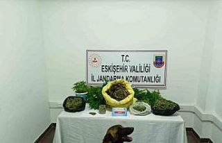 Jandarmadan uyuşturucu operasyonu