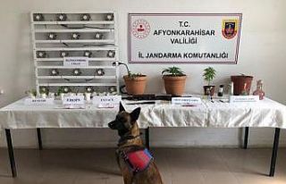 Jandarmadan uyuşturucu tacirlerine geçit yok