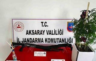 Jandarmadan uyuşturucu ve kaçak silah operasyonu