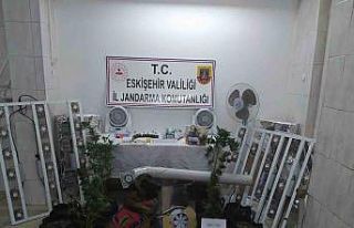 Jandarmanda Seyitgazi’de uyuşturucu operasyonu