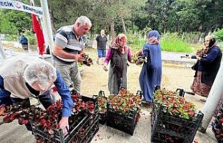 Kabir ziyareti yapan vatandaşlara 25 bin çiçek...