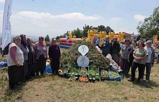 Kadın çiftçilerin yetiştirdiği arakanın ilk...