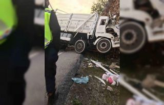 Kamyon kayalıklara çarptı: 2 yaralı