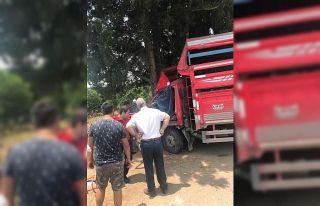 Kamyonet ağaca çarptı: 1 ölü, 6 yaralı