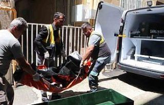 Kardeşini bıçaklayıp intihar etti