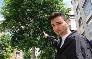 "Karga kamikaze" dalışlarıyla mahalleliye...