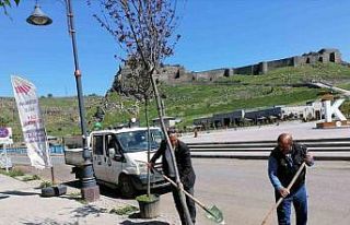 Kars’ta kuruyan ağaçlar değiştiriliyor