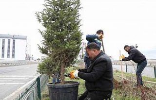 Kars’ta refüjler yeşilleniyor