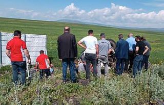Kars’ta yoldan çıkan kamyon şarampole devrildi