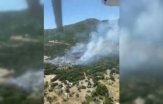 Kaş’ta orman yangını