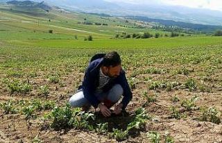 Kastamonu’da selin vurduğu alanlarda hasar tespit...