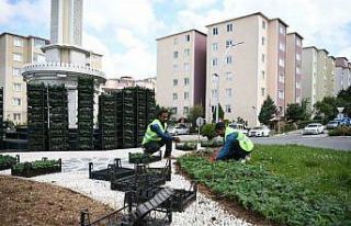 Kavşaklar mevsimlik çiçeklerle güzelleşiyor