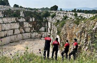 Kayalıklarda mahsur kalan keçiyi operasyonla kurtarıldı