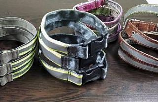 Kazaları önlemek için reflektörlü tasma diktiler