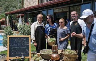 Kazdağları’nın kekikleri hasat edilmeye başlandı