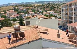 Kekliği çatıda kovaladılar
