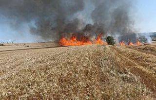 Keşan’da 30 dönüm buğday ekili arazi kül oldu
