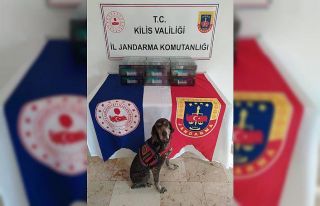 Kilis’te kaçak sigara operasyonu