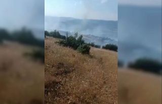 Kilis’te orman ve örtü yangını