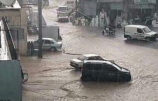 Kimi hayvanını kimi iş yerini kurtarmak için sele...