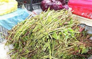 Kırçan otu pazara indi