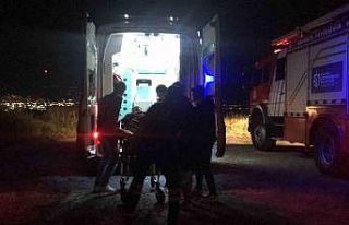 Kontrolden çıkan minibüs ağaçlık alana uçtu