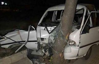 Kontrolden çıkan otomobil ağaca çarptı: 7 yaralı