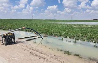 Konya’da suyla dolan tarlalardan su tahliye çalışması...