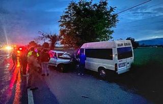 Köpeğe çarpmamak için direksiyonu kırdı, karşı...