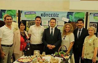 Köyceğiz’de 4 okul ‘Çevre Dostu Okul Levhası’...