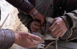 Küpeyi bırak dişe bak