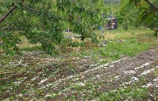 Kuraklıktan endişe eden çiftçiyi dolu ve yağışlar...