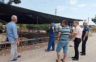 Kurban satış yerlerinde denetim