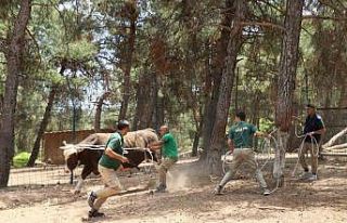 Kurban yakalama timi göreve hazır