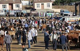 Kurbanlık alacaklar dikkat: “Hayvanlarda fiziki...