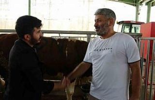 Kurbanlık alımını son güne bırakmayın