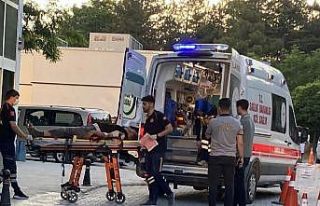 Kurbanlık koyunu yakalamak isterken düştü, hastanelik...